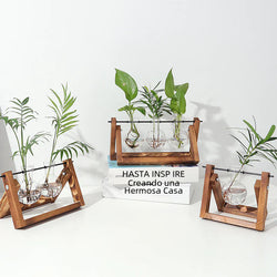 Wood Frame Hydroponic Glass Vase – Retro Tabletop Plant Holder for Pothos, Cuttings & Home Decor - Avenari Home & Life