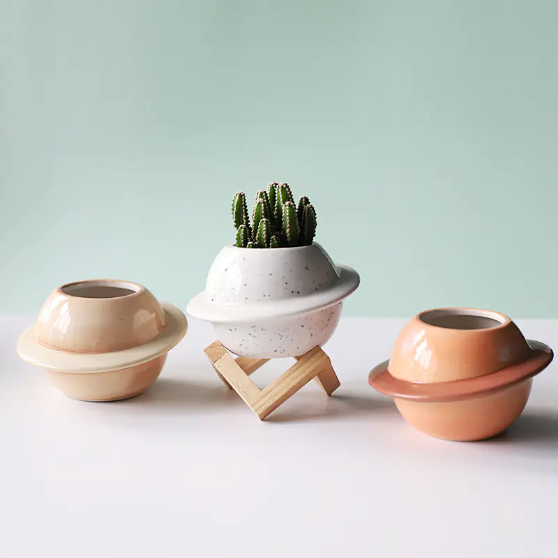 Charming Ceramic Succulent Pot
