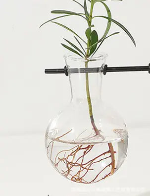 Wood Frame Hydroponic Glass Vase – Retro Tabletop Plant Holder for Pothos, Cuttings & Home Decor - Avenari Home & Life