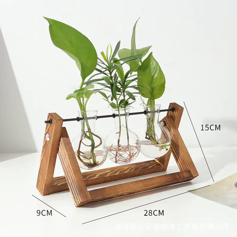 Wood Frame Hydroponic Glass Vase – Retro Tabletop Plant Holder for Pothos, Cuttings & Home Decor - Avenari Home & Life