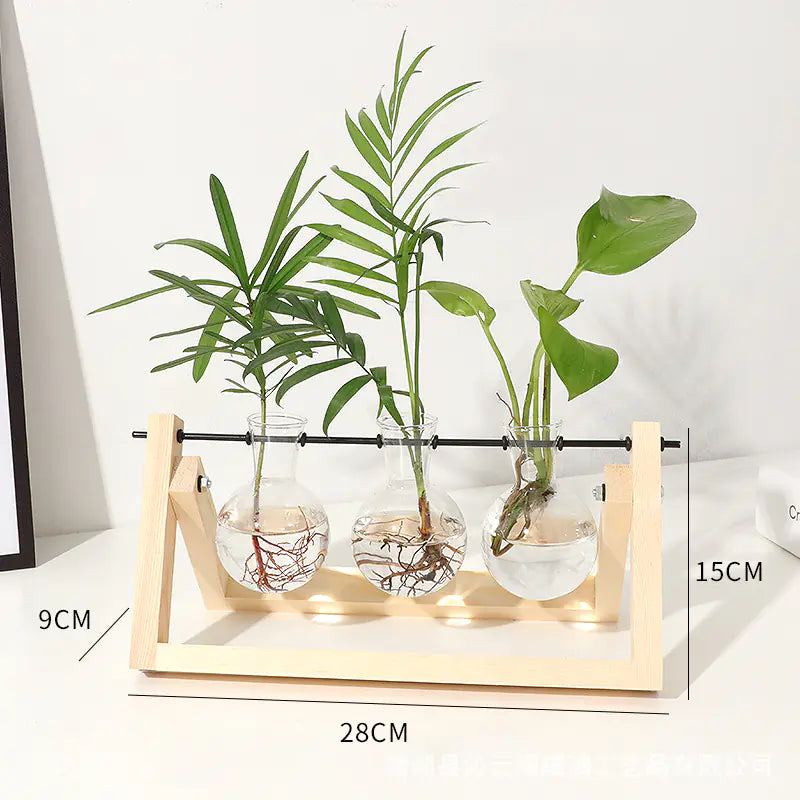 Wood Frame Hydroponic Glass Vase – Retro Tabletop Plant Holder for Pothos, Cuttings & Home Decor - Avenari Home & Life