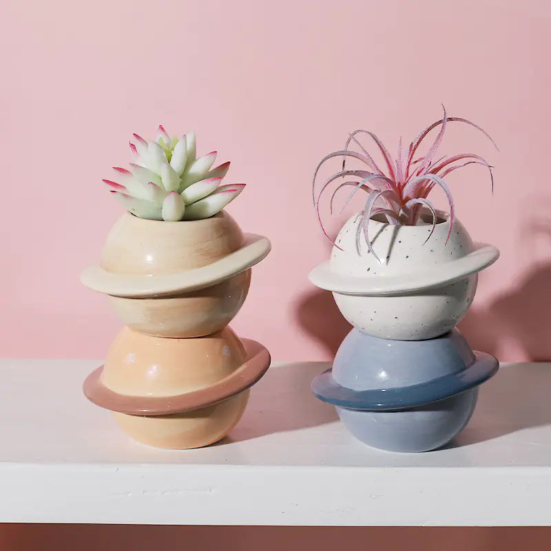 Charming Ceramic Succulent Pot