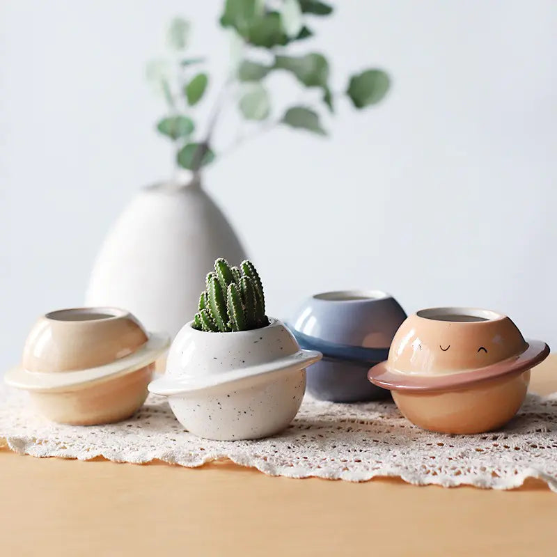 Charming Ceramic Succulent Pot