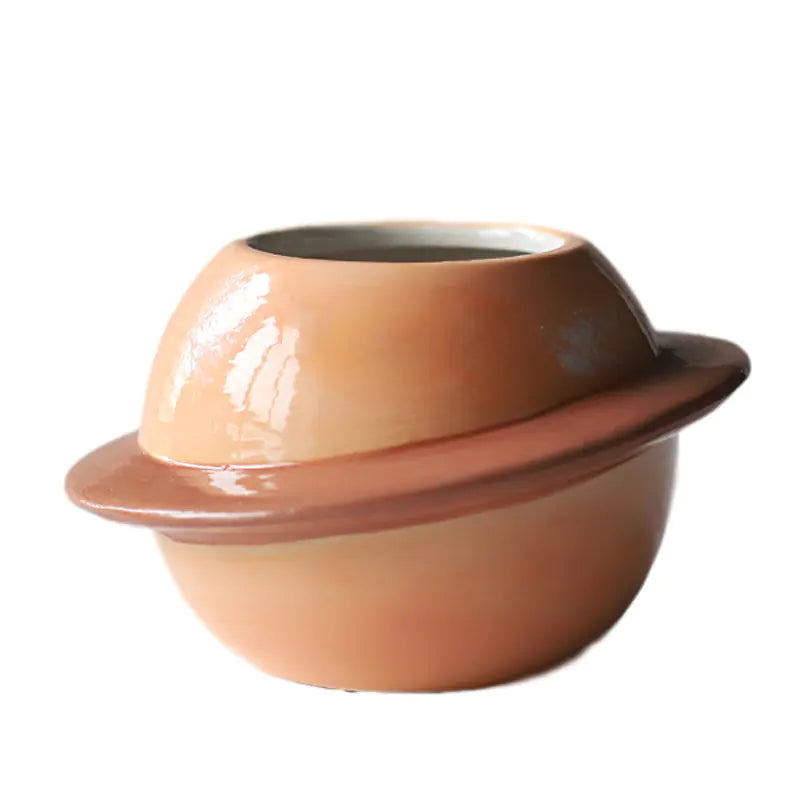 Charming Ceramic Succulent Pot
