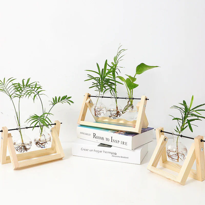 Wood Frame Hydroponic Glass Vase – Retro Tabletop Plant Holder for Pothos, Cuttings & Home Decor - Avenari Home & Life